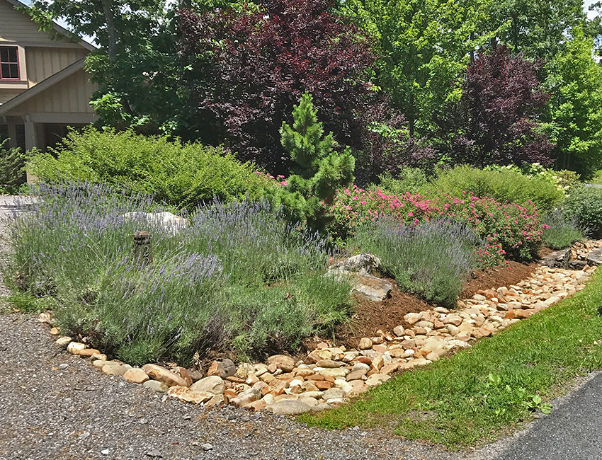 A garden bed with rocks and plants in front of a house.