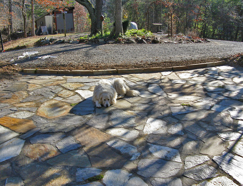 A dog is laying on a stone patio.