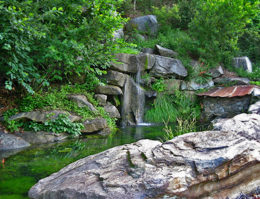 A pond surrounded by rocks and greenery.