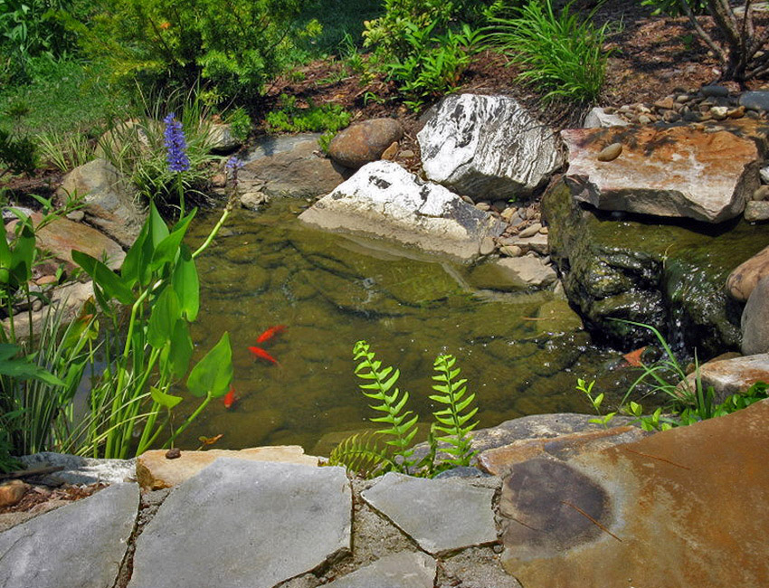 A koi pond in a garden with rocks and plants.